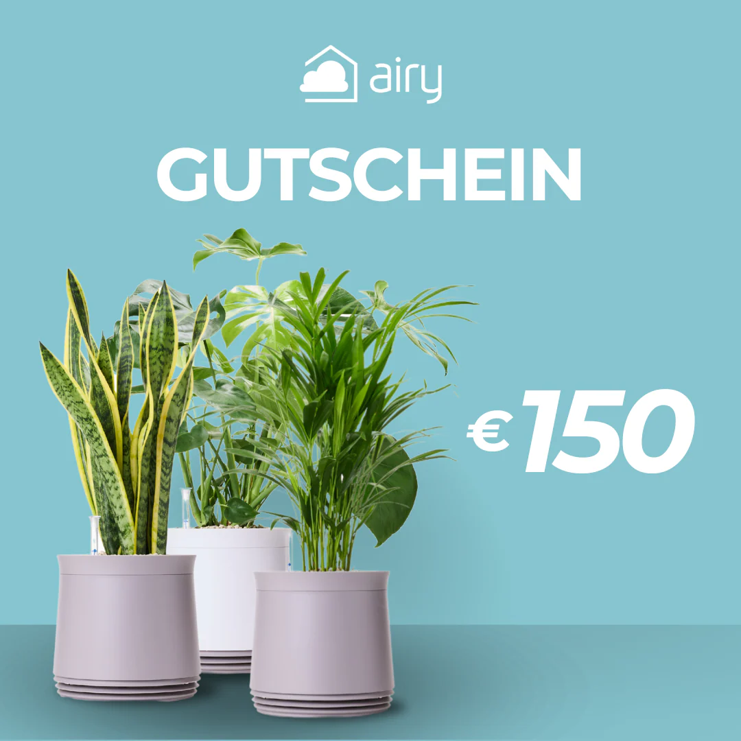 Vorschaubild 4