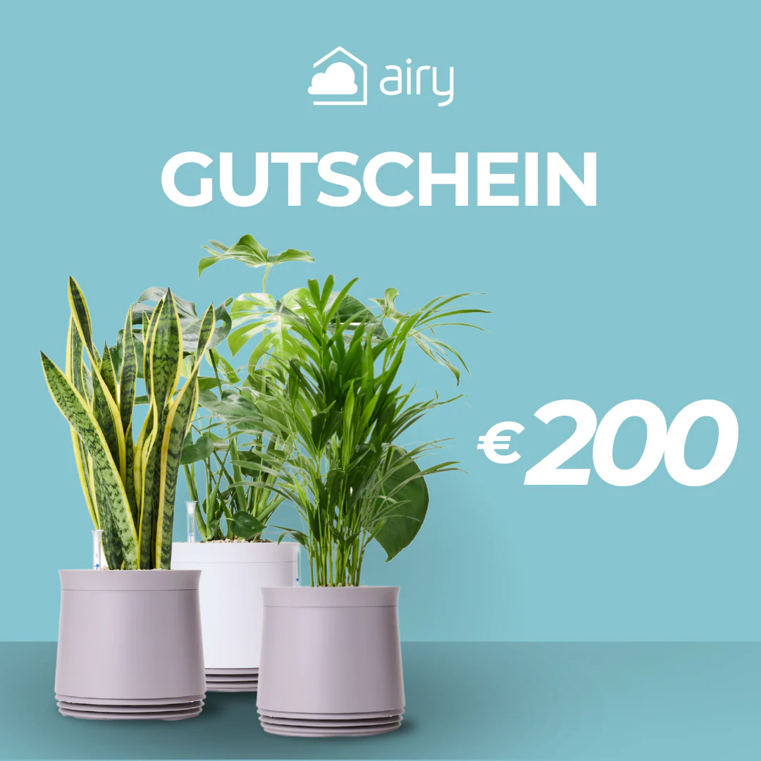 Vorschaubild 5