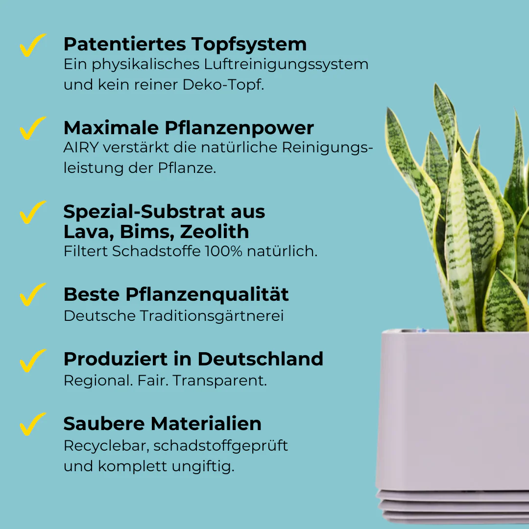 Vorschaubild 6