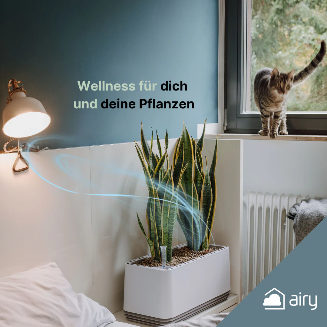 Vorschaubild 9