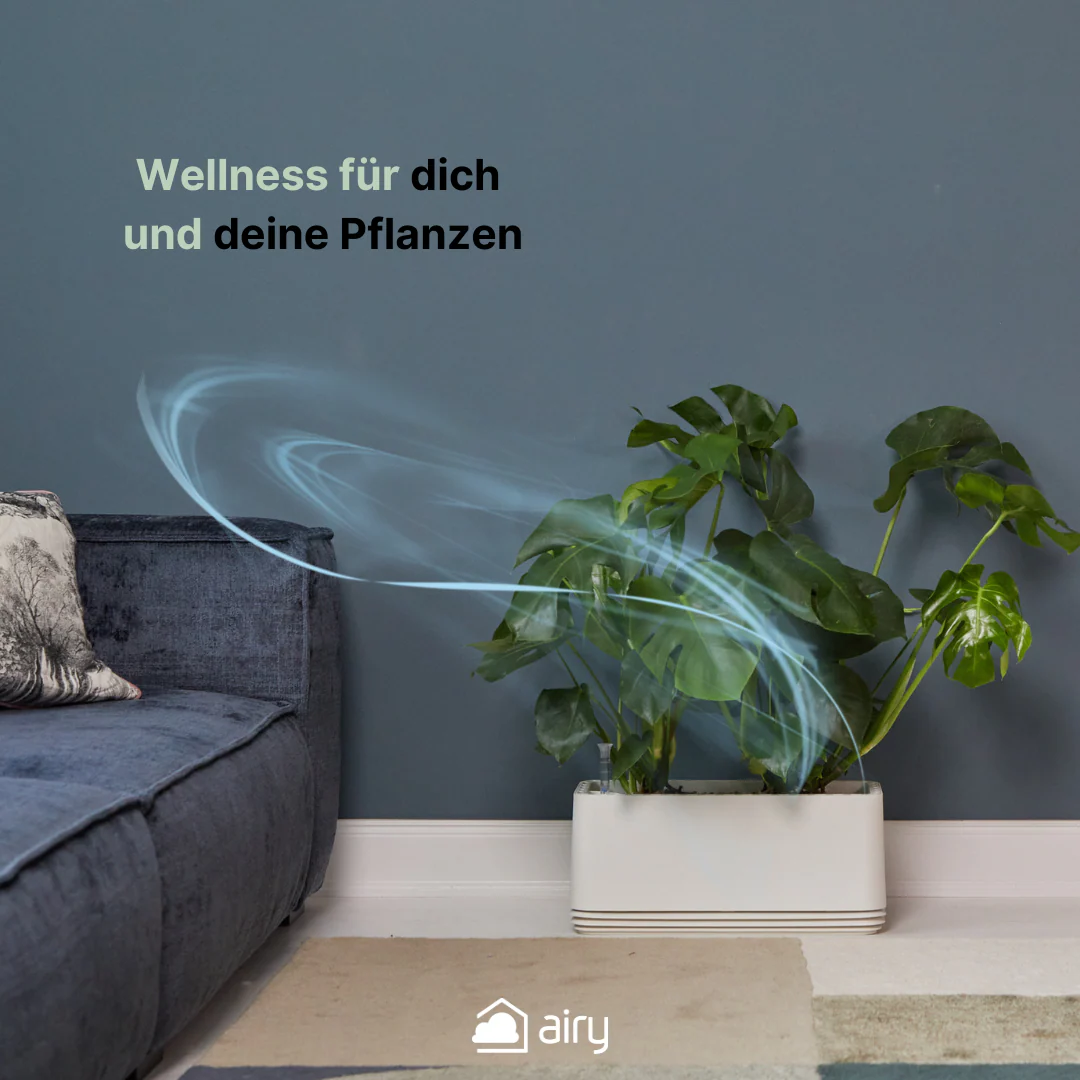 Vorschaubild 10