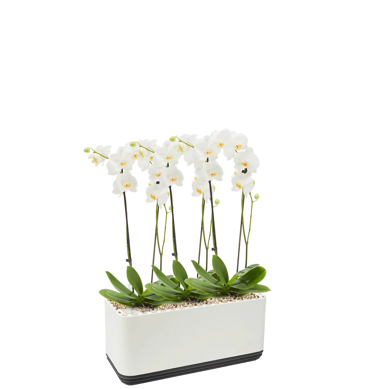 Vorschaubild 10