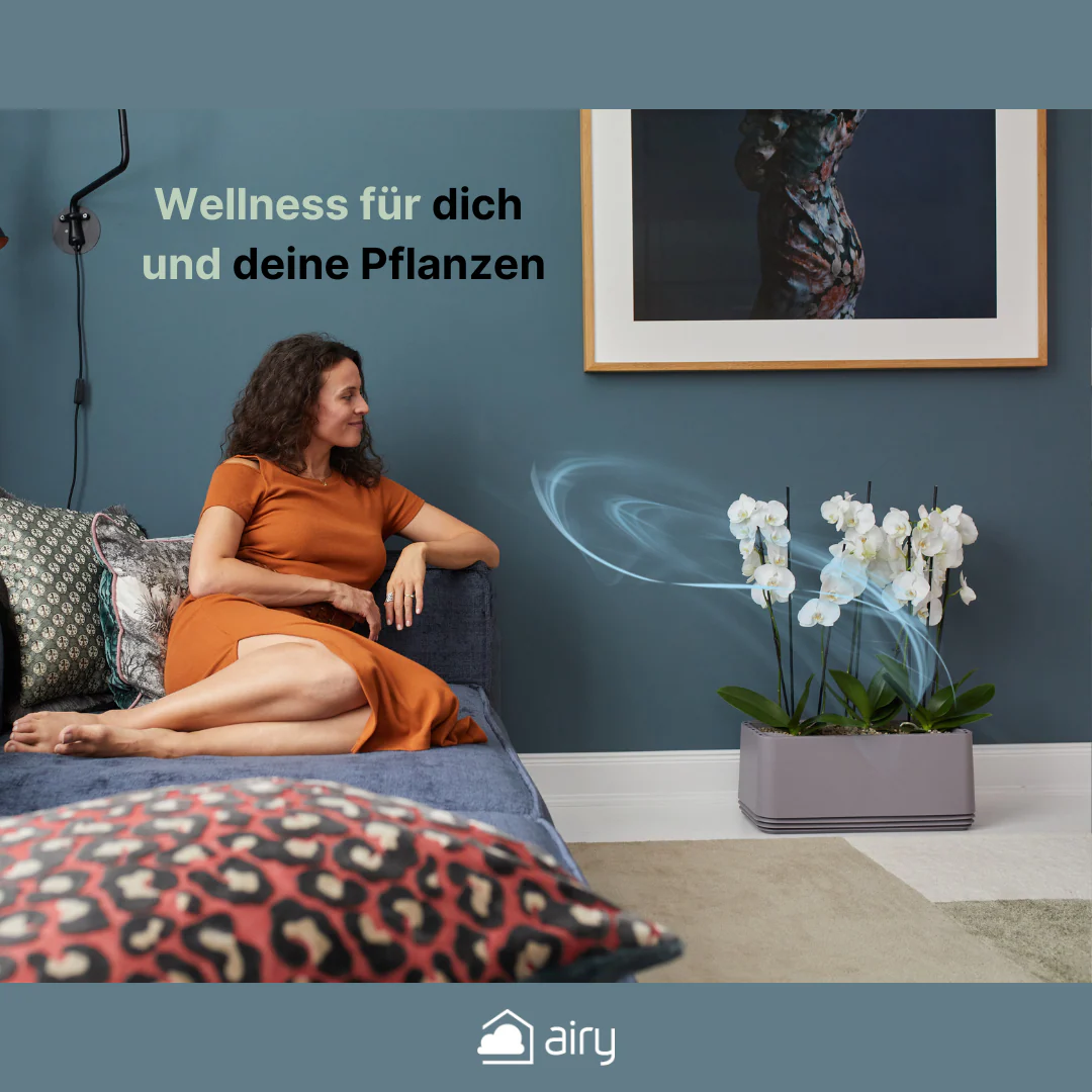 Vorschaubild 13