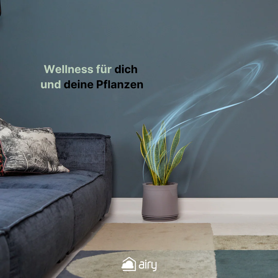 Vorschaubild 9