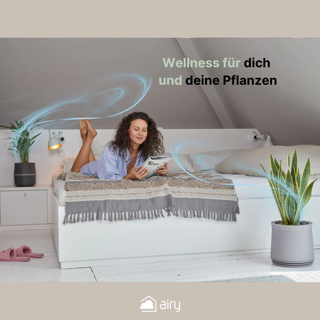 Vorschaubild 8