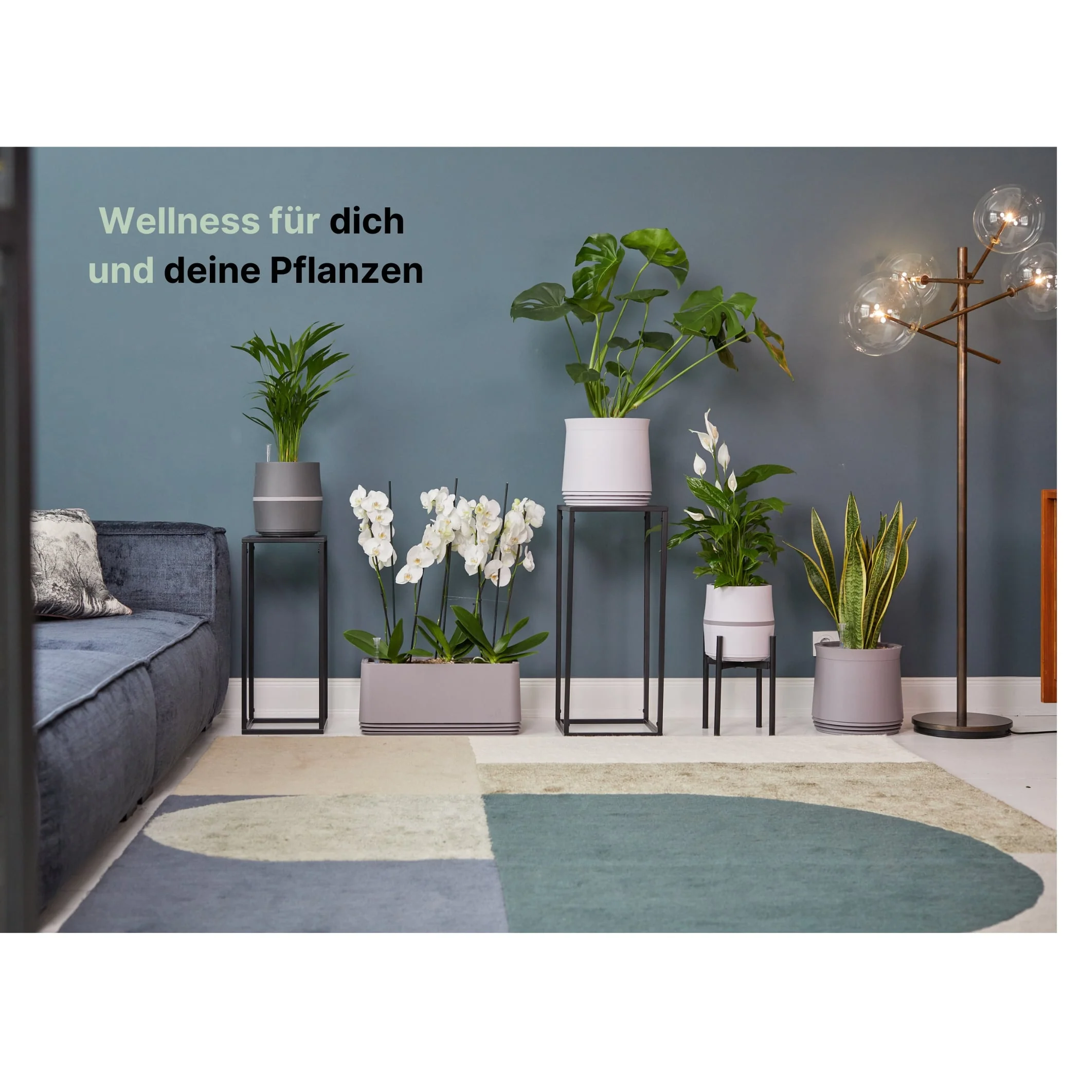 Vorschaubild 10