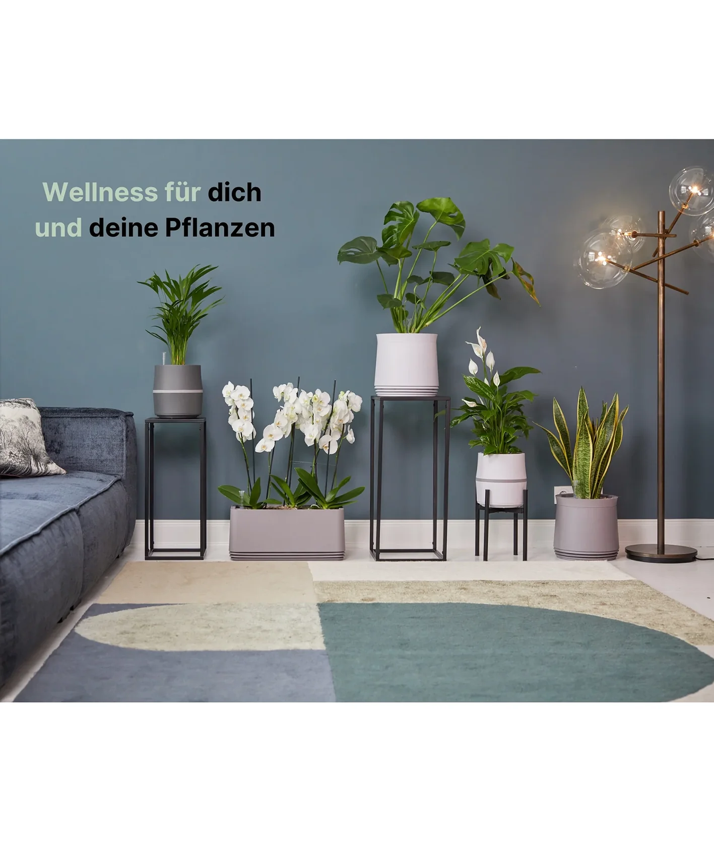 Vorschaubild 8