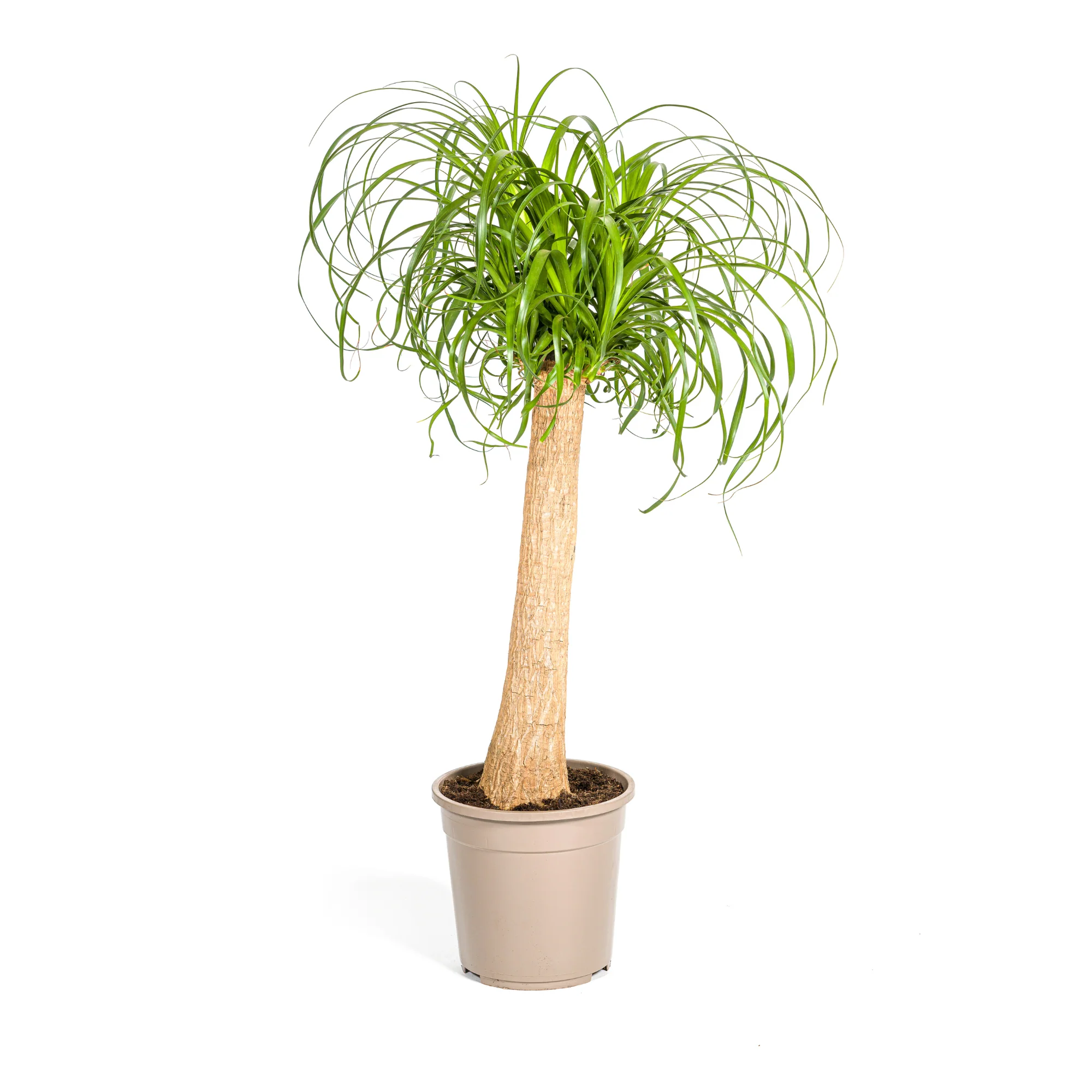 Vorschaubild 7