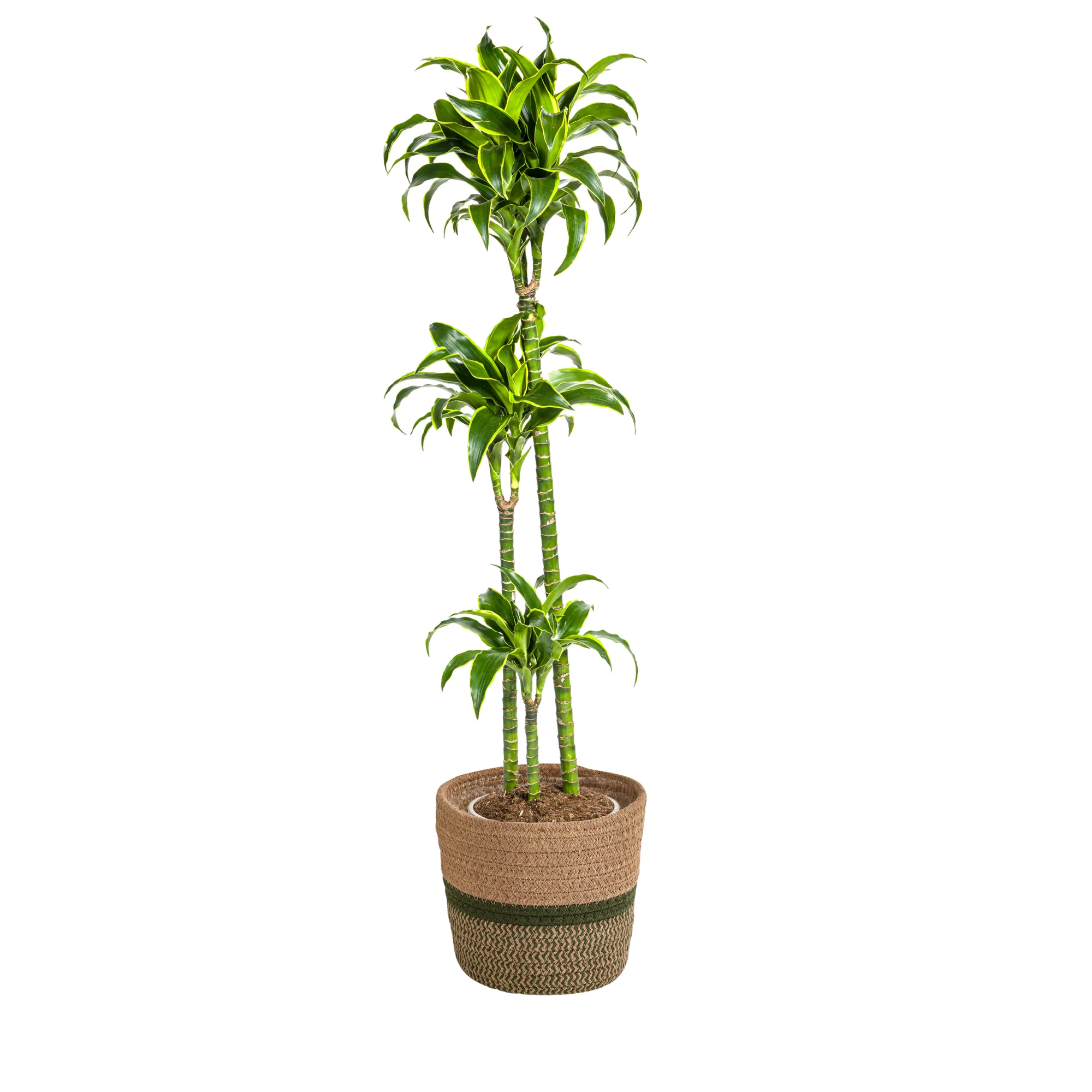 Vorschaubild 7