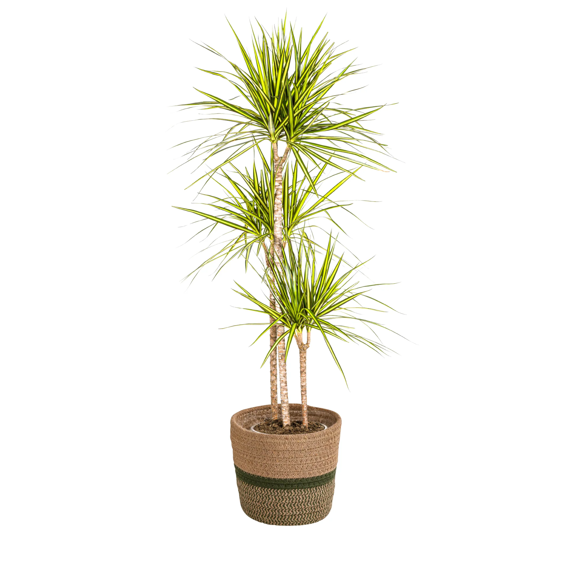 Produktbild 1