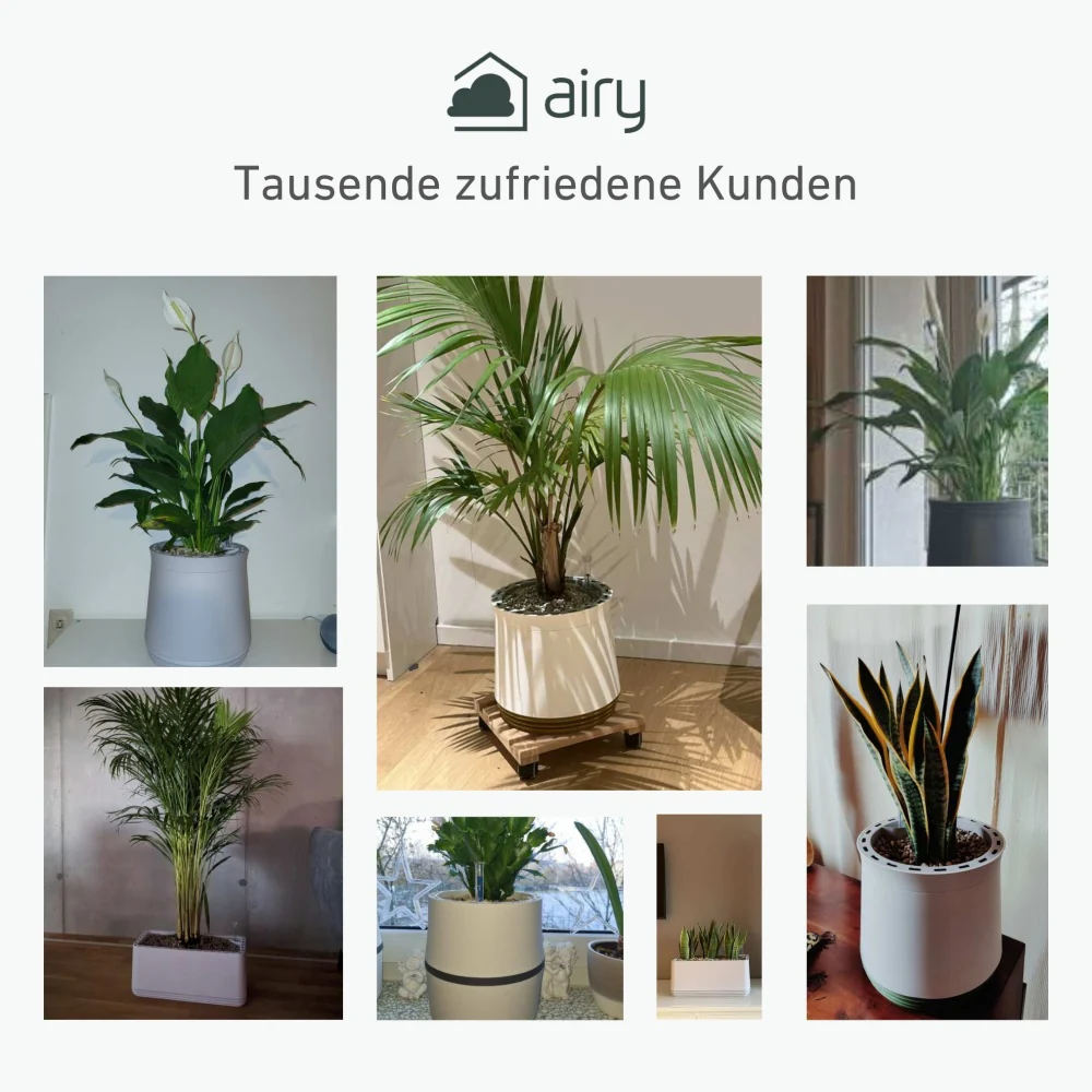 Vorschaubild 11