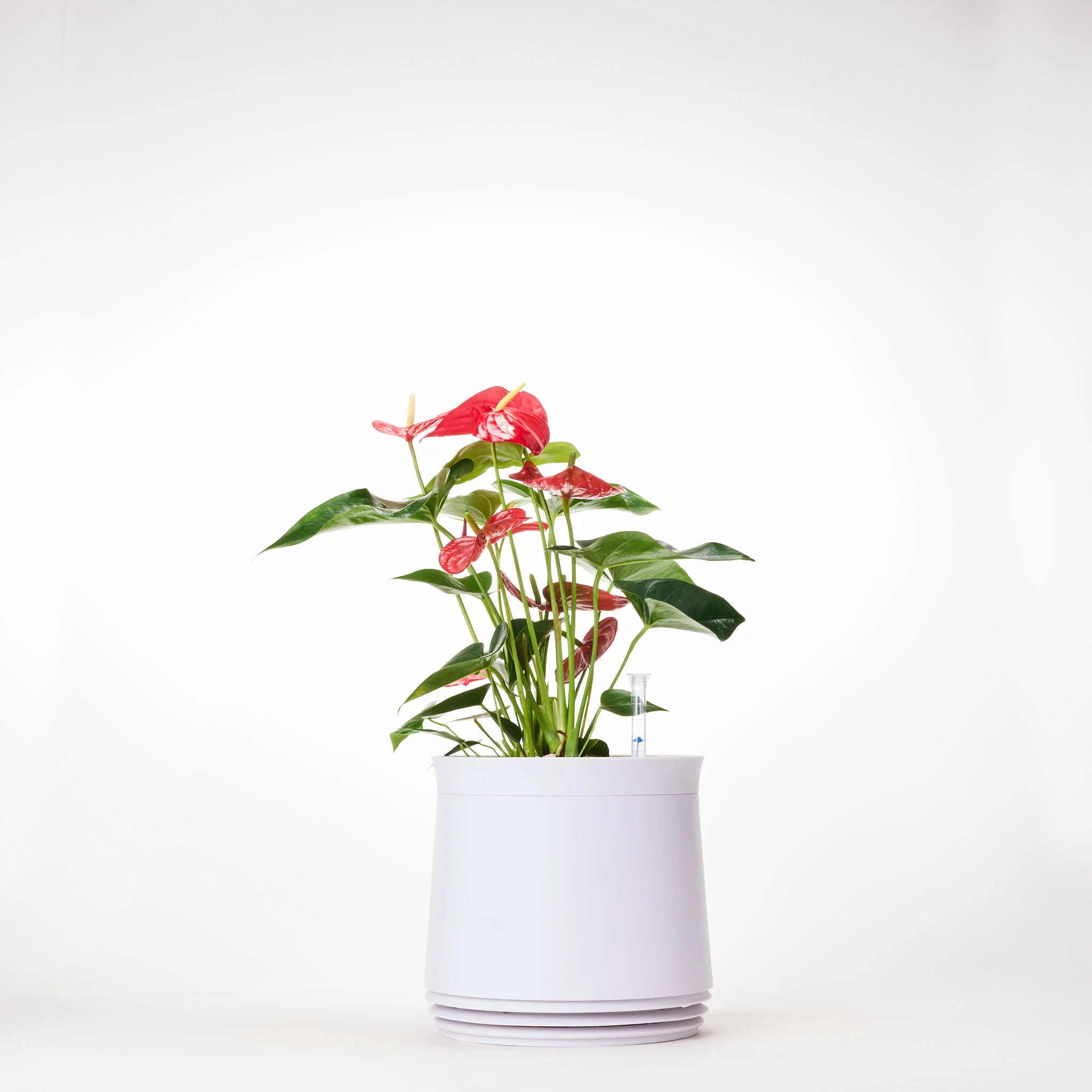 Vorschaubild 9